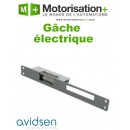 Gâche électrique - AVIDSEN - 102275